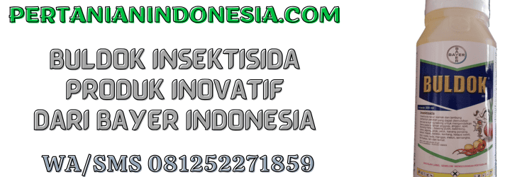 buldok,buldok 25 ec,insektisida,insektisida buldok,bayer,pertanian indonesia